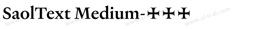 SaolText Medium字体转换